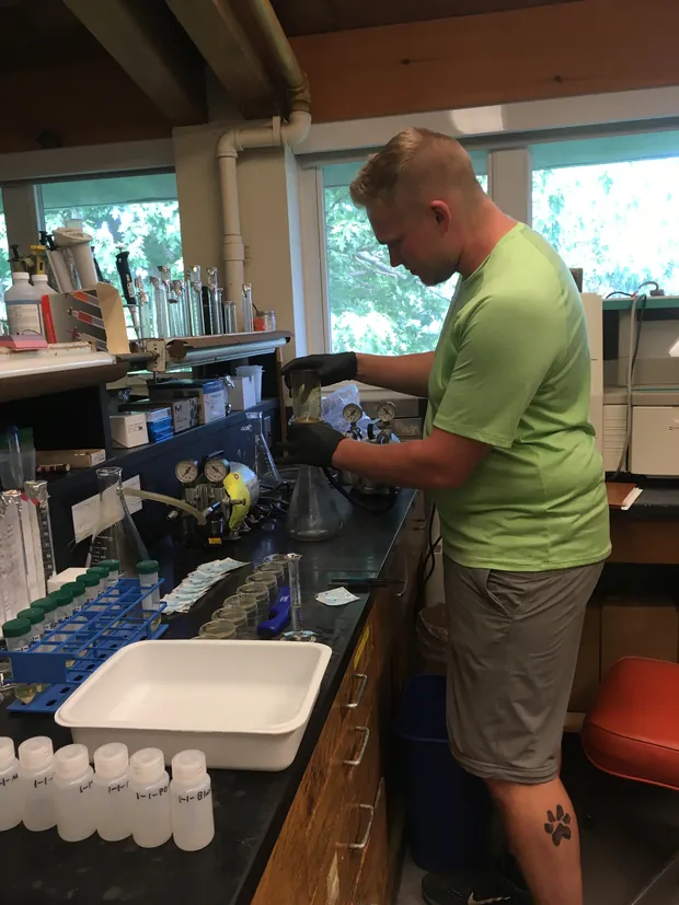 Sean Fogarty handling samples at a laboratory bench.