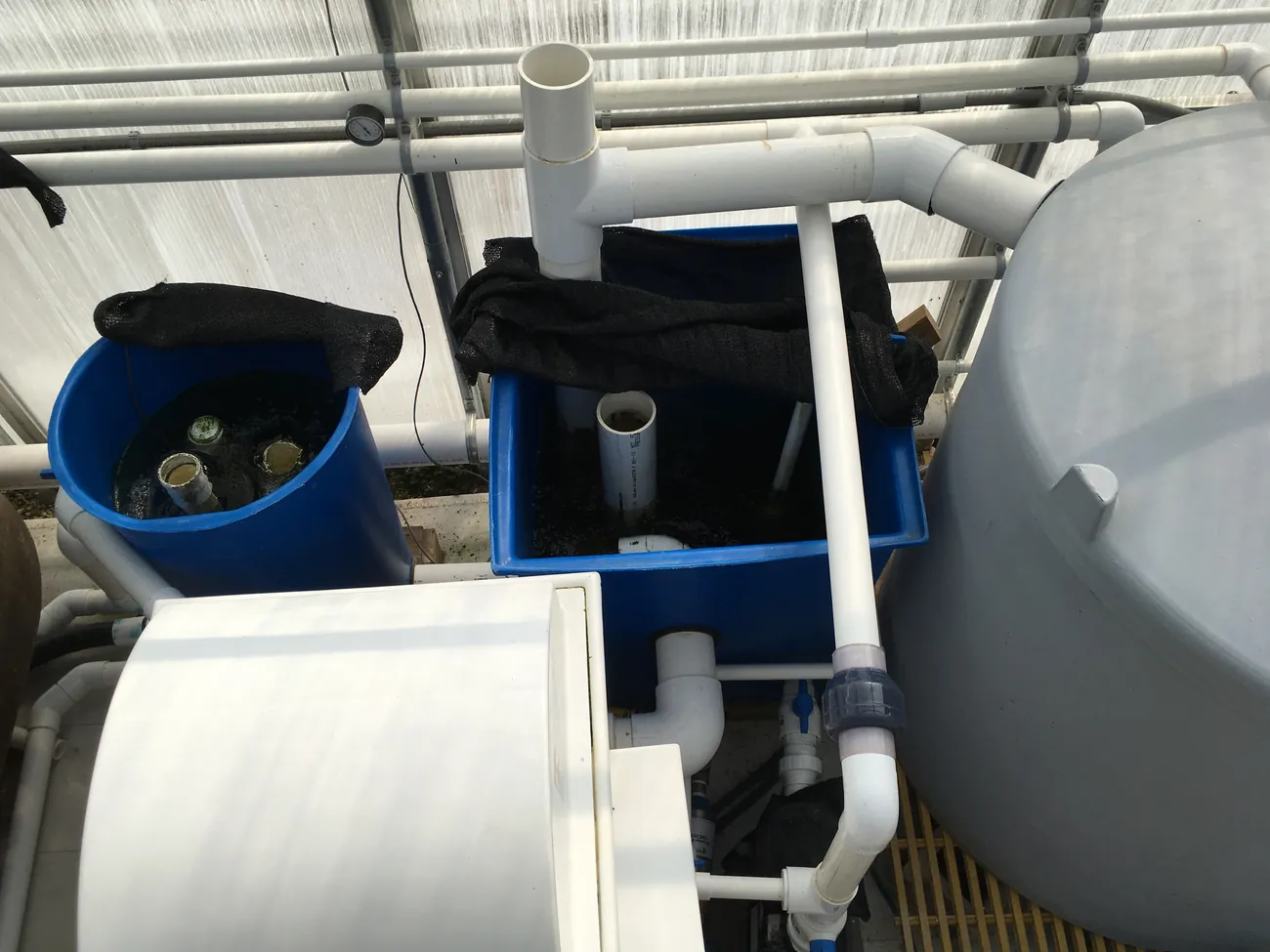 Filtration tanks and plumbing for a recirculating water system.
